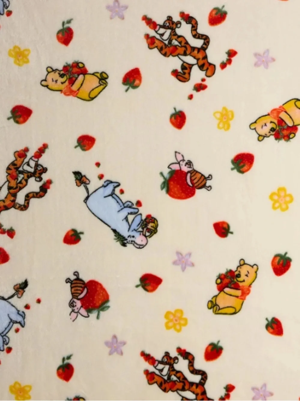 The Big One Winnie the Pooh Throw Blanket 60x72 Soft Plush Pooh Tigger Spring